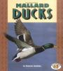 Mallard_ducks