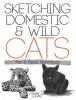 Sketching_domestic_and_wild_cats