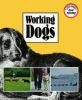 Working_dogs