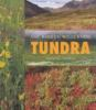 Tundra___the_barren_wilderness