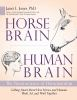 Horse_brain__human_brain