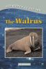 The_walrus