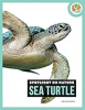 Sea_turtle