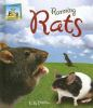 Running_rats