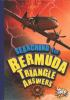 Searching_for_Bermuda_Triangle_answers