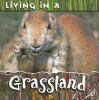 Living_in_a_grassland