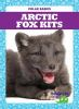 Arctic_fox_kits