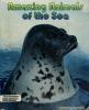 Amazing_animals_of_the_sea