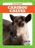 Caribou_calves