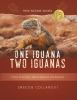 One_iguana_two_iguanas
