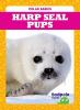 Harp_seal_pups