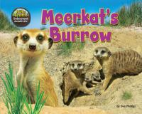 Meerkat_s_burrow