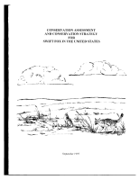 Conservation_assessment_and_conservation_strategy_for_swift_fox_in_the_United_States