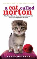 A_Cat_Named_Norton