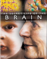 The_Secret_Life_of_The_Brain