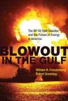 Blowout_in_the_Gulf