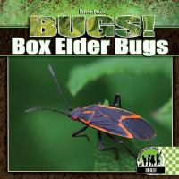 Bugs__Box_Elder_Bugs