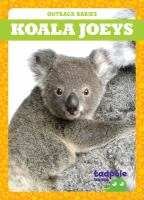 Koala_joeys