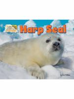 Harp_Seal