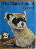 The_black-footed_ferret