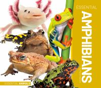 Essential_amphibians