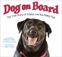 Dog_on_board