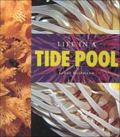 Life_in_a_tide_pool