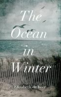The_ocean_in_winter
