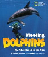 Meeting_dolphins