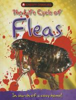 The_life_cycle_of_fleas