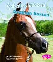 Arabian_horses__Caballos_arabes