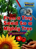 From_a_tiny_seed_to_a_mighty_tree