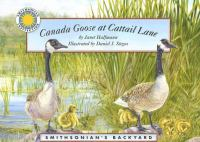 Canada_Goose_at_Cattail_Lane