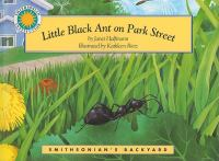 Little_Black_Ant_on_Park_Street