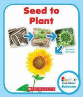Seed_to_plant