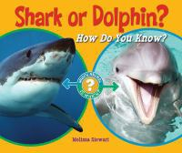 Shark_or_dolphin_