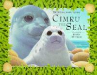 Cimru_the_seal