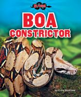 Boa_constrictor