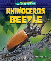 Rhinoceros_beetle