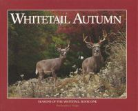 Whitetail_autumn